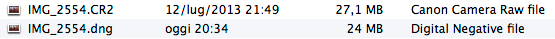 Confronto di dimensioni tra RAW e DNG